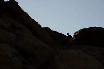 DSC_5539 (Large).JPG